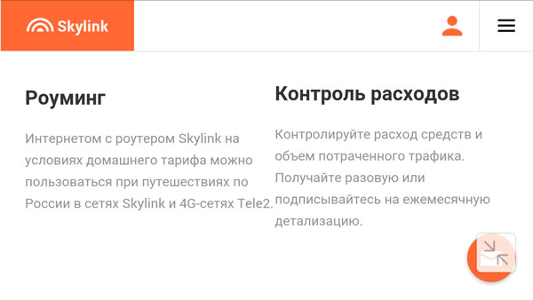 Главная страница skylink.ru, пункт «Роуминг» 