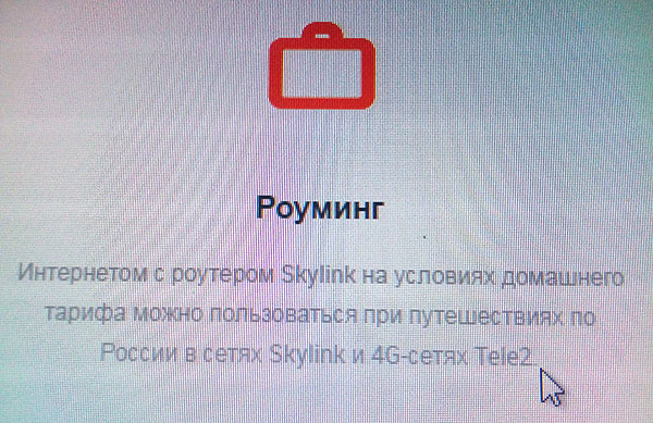 Пункт «Роуминг» главной страницы skylink.ru