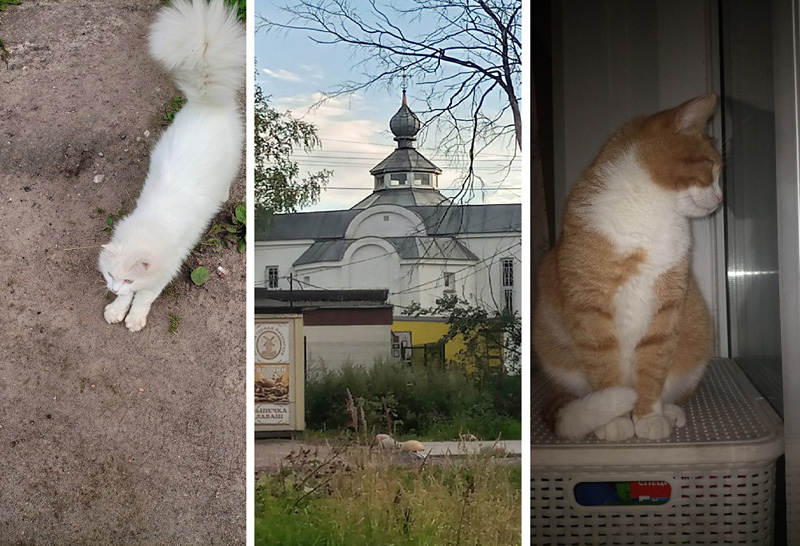 Обычная съемка, 4-кратный зум, ночная съемка