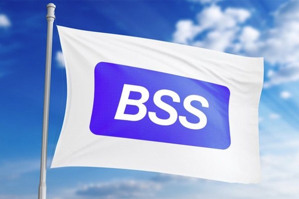 BSS запускает заказную разработку, внедрение и сопровождение решений 1С