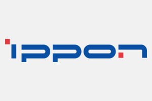 Ippon и Delta: совместные испытания ИБП и литий-ионных батарейных шкафов прошли успешно