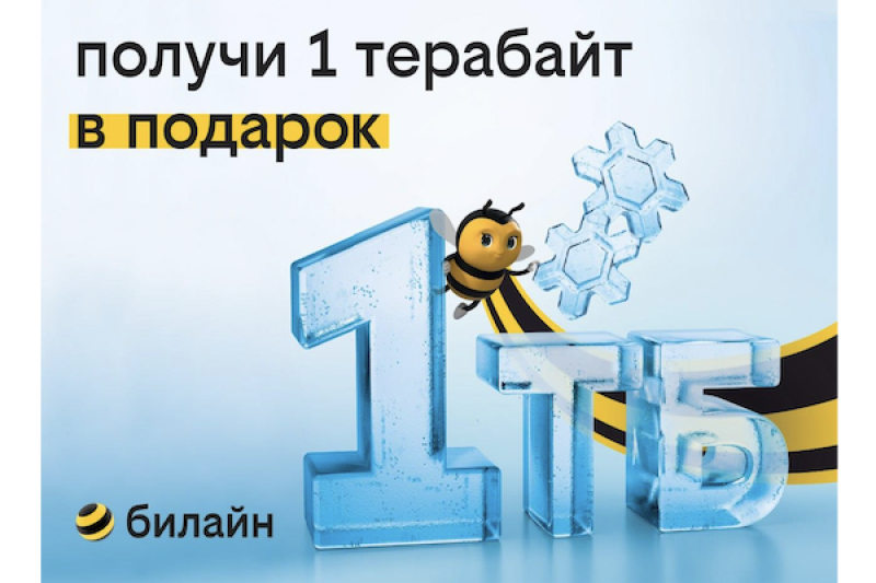 1 терабайт для всех: билайн дарит возможность забыть о трафике на целый год