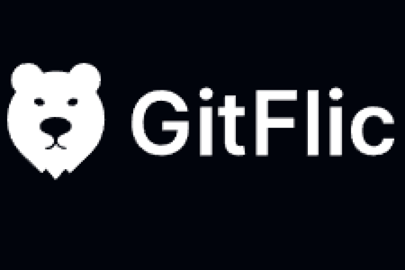 Вышла новая версия платформы GitFlic