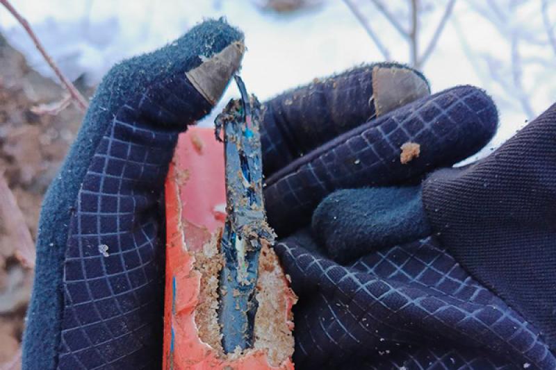 Бобры едва не оставили без связи 13 тысяч жителей Архангельской области