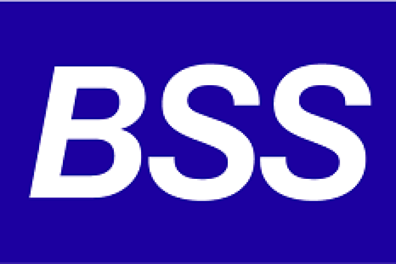 Зачем банкам перестраиваться на многоагентные ИИ-системы рассказали эксперты BSS на iFin-2026