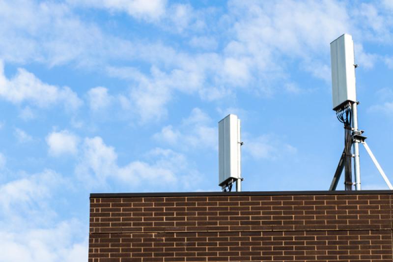 Билайн масштабно усилил сеть в Петербурге и Ленобласти за 2025 год