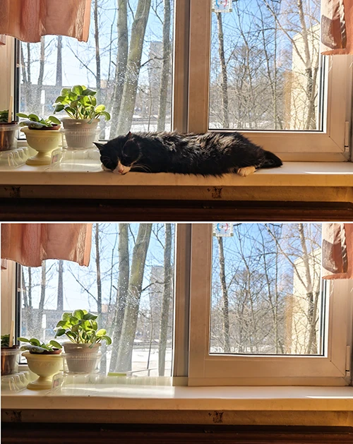 По традиции просим AI убрать котика с окна. Нейросеть немного напутала с тенью