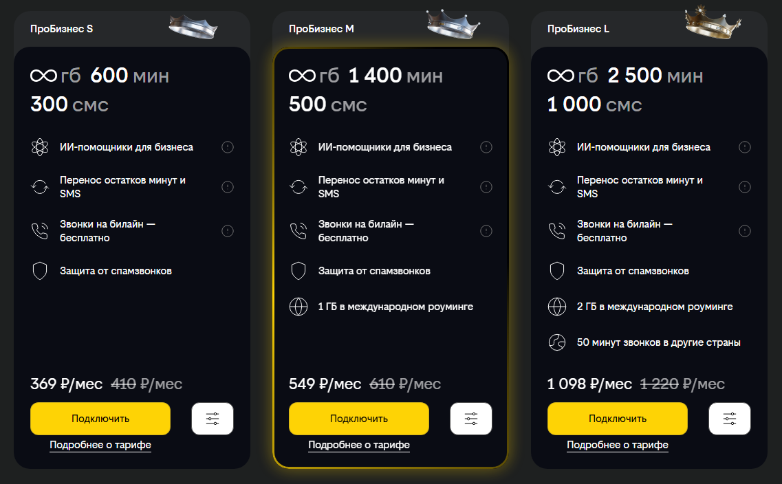 Линейка тарифов &laquo;ПроБизнес&raquo;, краткое описание петербургских тарифов при оплате за 3 месяца