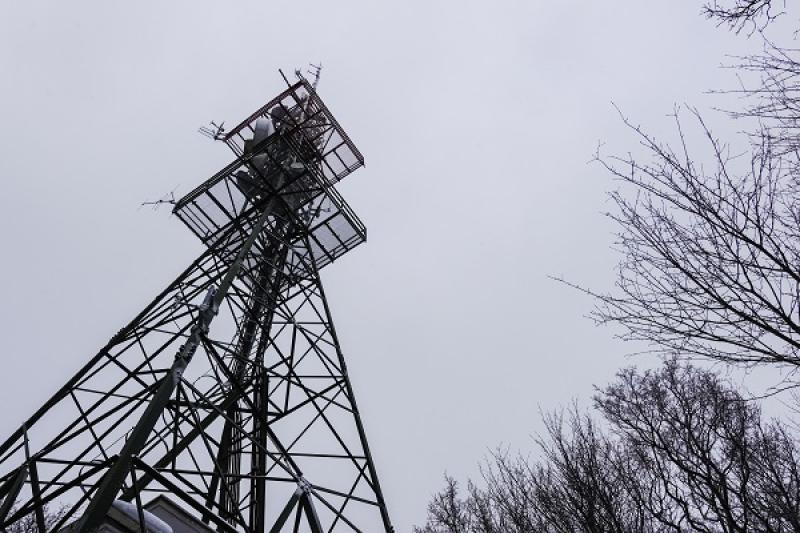 МТС расширила покрытие LTE в крупнейших городах Ленинградской области