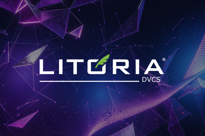 Компания «Газинформсервис» выпустила квартальное обновление Litoria DVCS